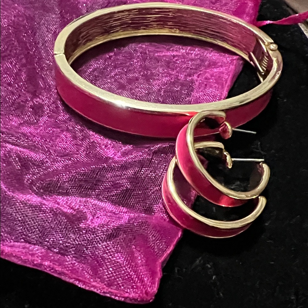 RJ Graziano Gold and Bold Pink Jewelry Set